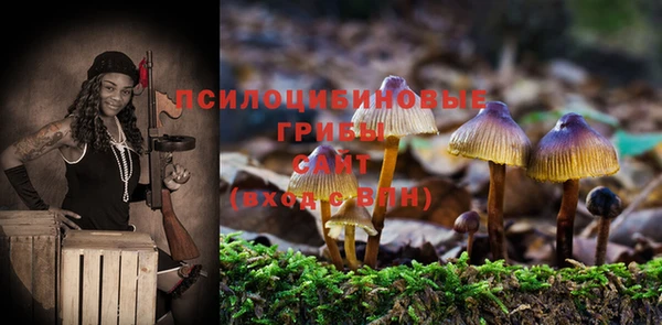 каннабис Новодвинск