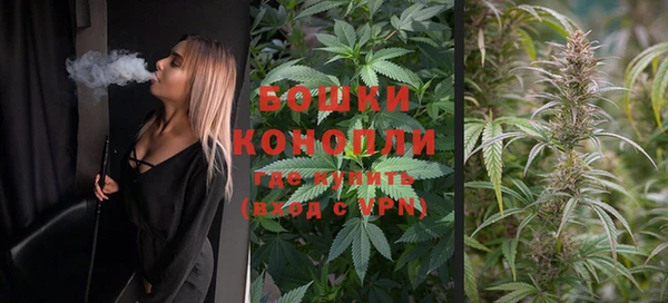 дурь Новозыбков