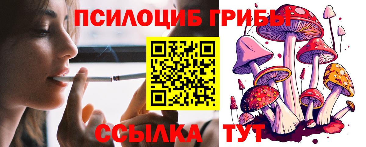 Первоуральск  Галлюциногенные грибы MAGIC MUSHROOMS  Вход с VPN 